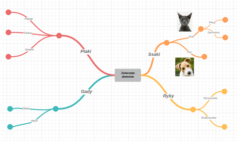 Image 2. Screenshot from Lucid showing a demonstration mind map, animal images visible