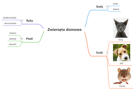 Image 4. Screenshot from GitMind with a mind map showing the division of domesticated animals into different categories: fish, birds, reptiles and mammals
