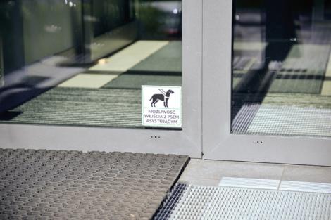 Photo no. 11 (13)
                                                         Wejście do budynku CWD, widoczne oznaczenie o możliwości wejścia z psem asystującym
                            